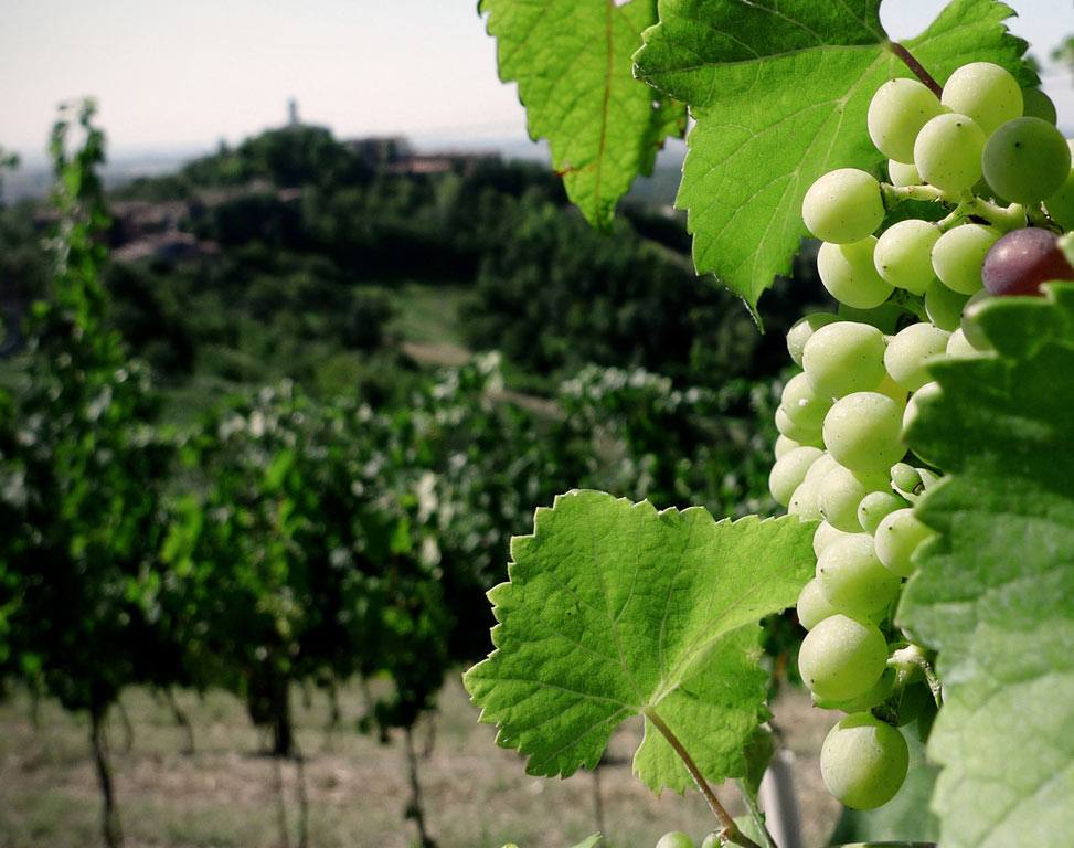 Canonica di Corteranzo | Agriturismo Monferrato